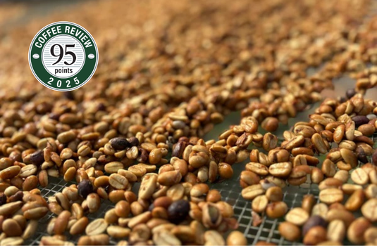 Ka'u 'Hydro' Honey Typica